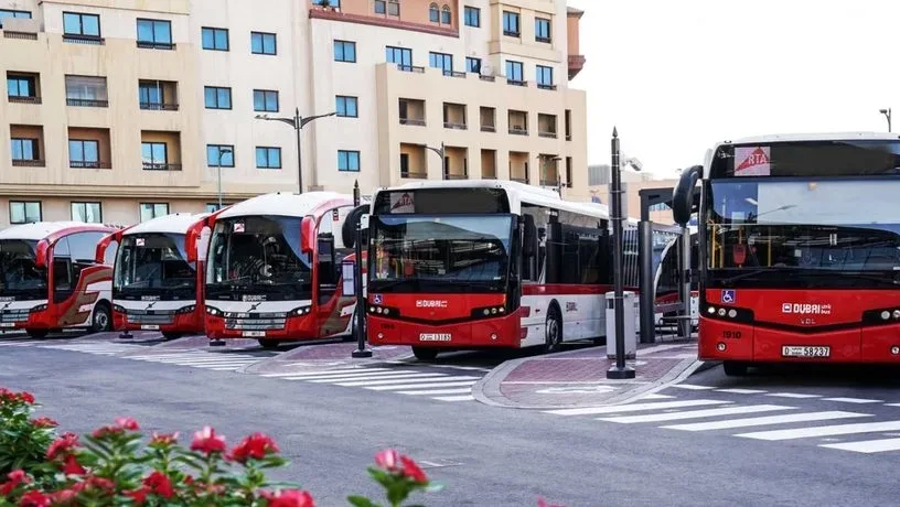 Comprehensive UAE Driving and Travel Packages Tailored for Local and Visiting Road Travelers